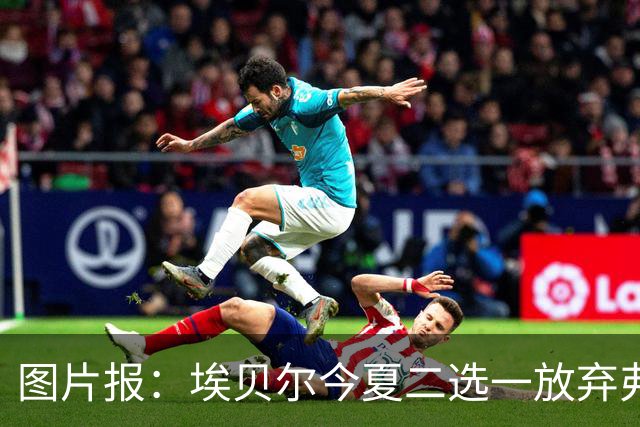 图片报：埃贝尔今夏二选一放弃弗里克